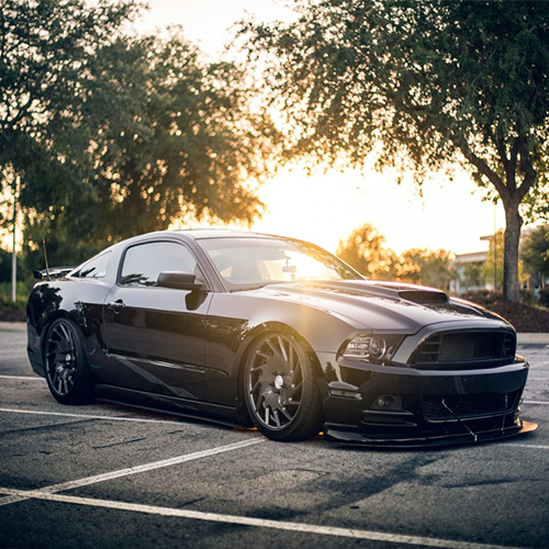 mustang